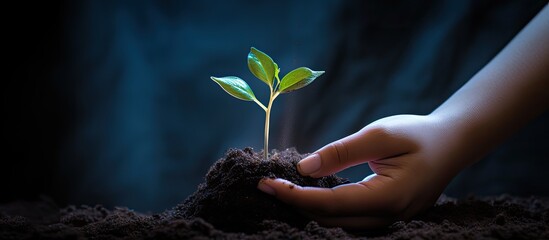 A child s hand carefully folds a seedling into a plant pot leaving plenty of open space for an image. Creative banner. Copyspace image - Powered by Adobe