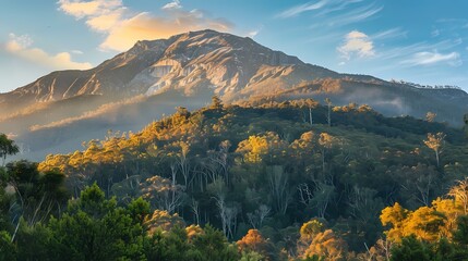 A majestic mountain peak bathed in golden sunlight, with a dense forest of trees covering the lower...