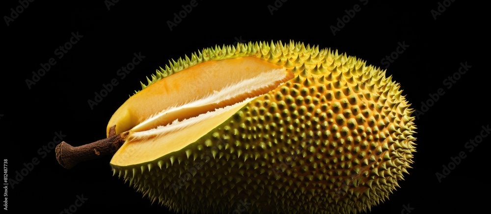 Aufkleber a close up view of a durain fruit isolated on a white background with plenty of copy space for other