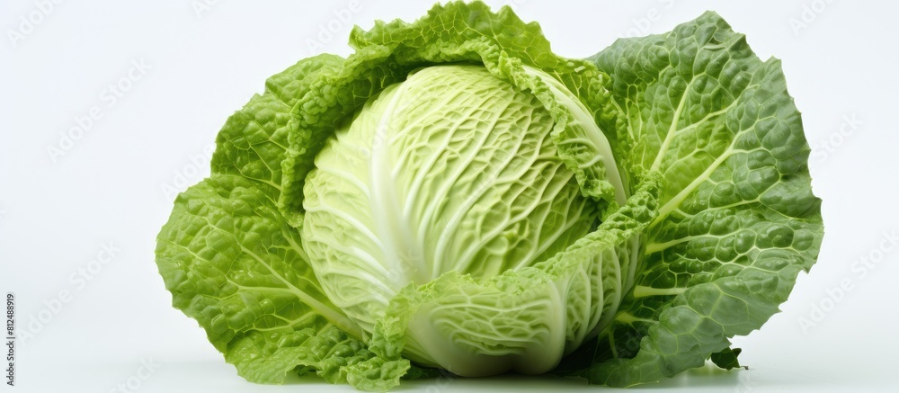 Poster Copy space image of white background with fresh cabbage