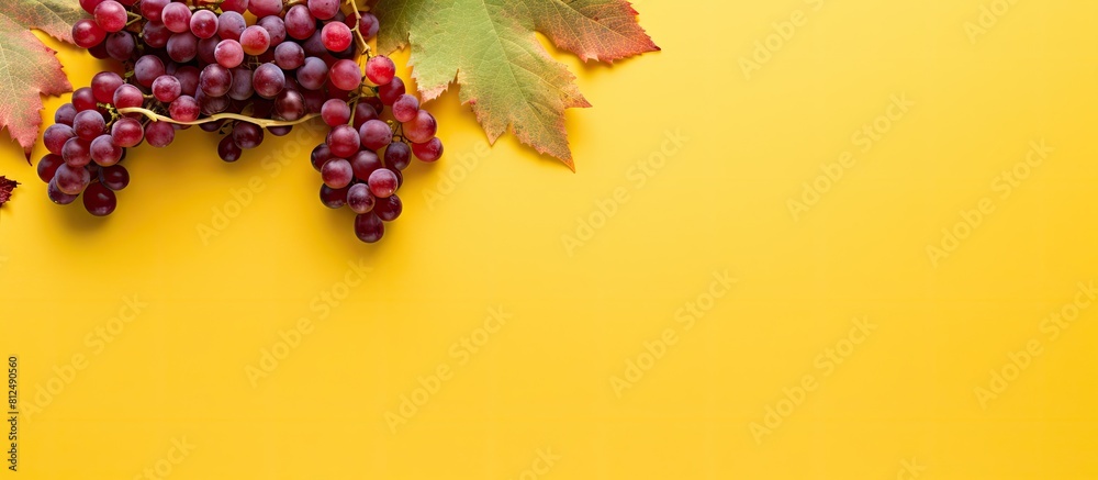 Poster Top down view of an autumn composition showcasing a frame formed by vibrant red leaves of the girlish grape complemented by green berries all set against a bright yellow backdrop Ample copy space ima