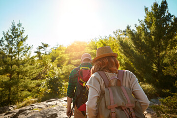 Nature, hiking and couple with trees, walking and adventure holiday in mountain from back....