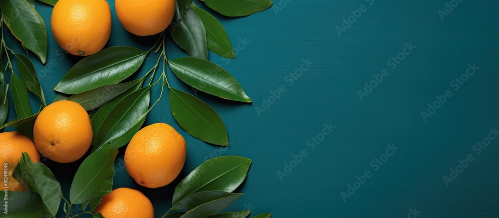 Poster Top view of a composition featuring ripe oranges and leaves arranged on a colorful background leaving room for text in the copy space image