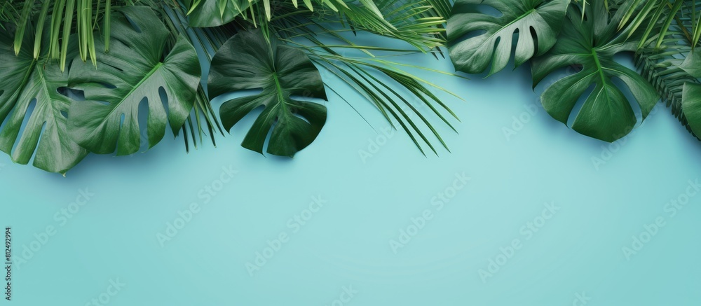 Poster The top view of a tropical frame with green palm trees monstera leaves and branches on a neo mint background The image provides abstract copy space