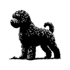 Portuguese Water Dog Vector Silhouette - Capturing this Aquatically Proficient Canine Companion- Portuguese Water Dog Illustration- Minimalist Portuguese Water Dog vector.
