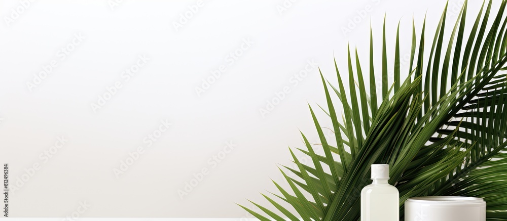 Poster Copy space image featuring geometrical forms on a white background with palm leaves The geometrical podium stands empty creating a background ideal for showcasing cosmetic products and representing a
