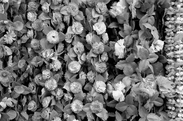 Artificial white flowers, Dadar, Mumbai, Maharashtra, India, Asia