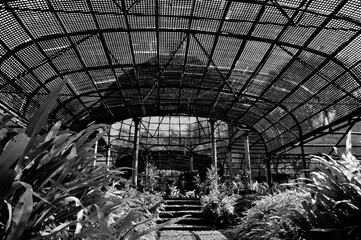 Aviary, Veermata Jijabai Bhosale Udyan, Byculla Zoo, Mumbai, Maharashtra, India, Asia