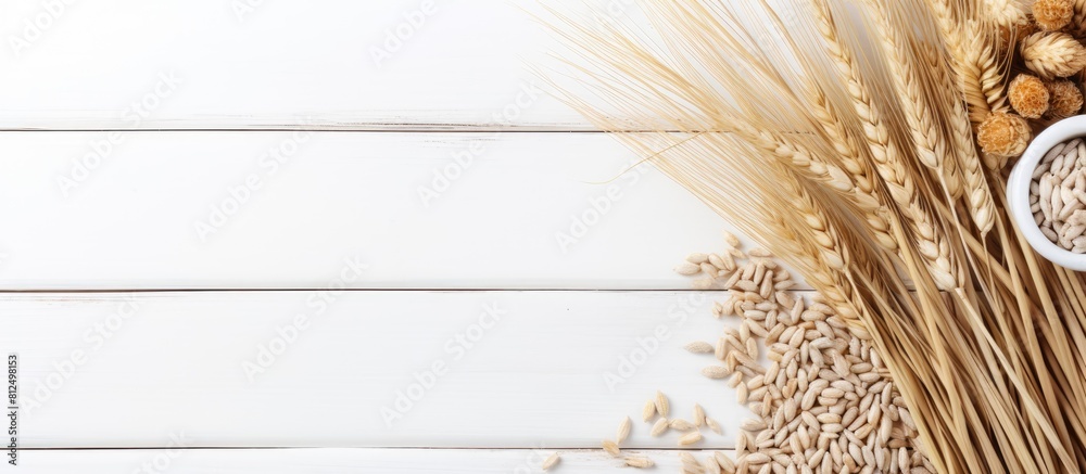 Poster the top view copy space image showcases a background of cereals including raw oatmeal and sprigs of 