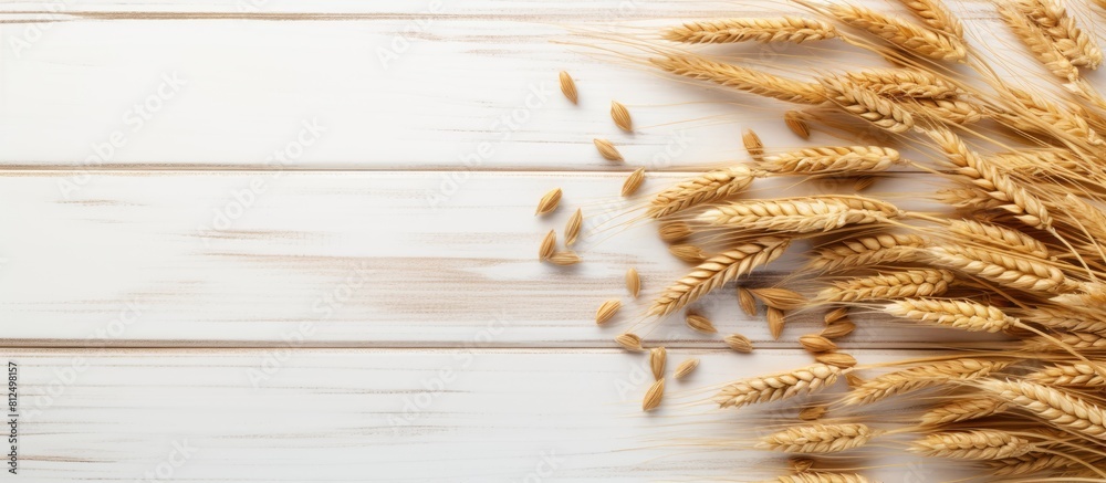 Poster the top view copy space image showcases a background of cereals including raw oatmeal and sprigs of 