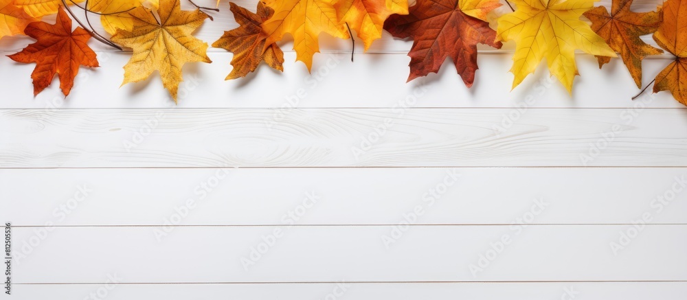 Aufkleber A school themed background with autumn leaves on a white wooden surface perfect for showcasing fall designs in a copy space image