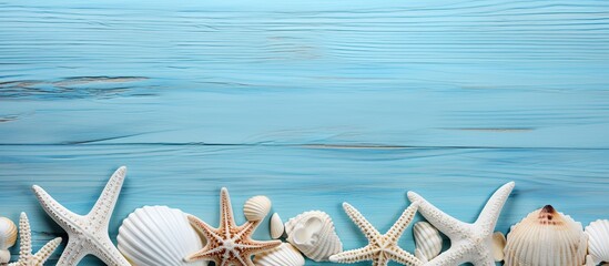 Seashells and starfishes arranged on a blue wooden background creating a visually appealing copy space image