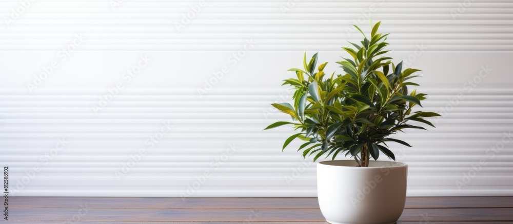 Poster A green plant sits in a white pot against a backdrop of a wooden surface creating a copy space image