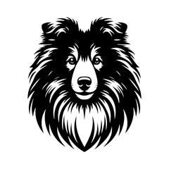 Fototapeta premium Shetland Sheepdog Vector Silhouette - Capturing the Elegance and Agility of this Beloved Canine Companion Breed- Shetland Sheepdog Illustration.