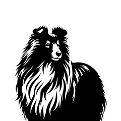 Shetland Sheepdog Vector Silhouette - Capturing the Elegance and Agility of this Beloved Canine Companion Breed- Shetland Sheepdog Illustration.