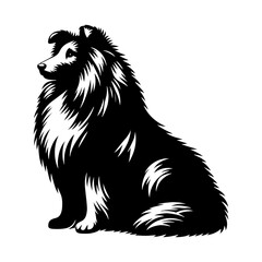 Shetland Sheepdog Vector Silhouette - Capturing the Elegance and Agility of this Beloved Canine Companion Breed- Shetland Sheepdog Illustration.