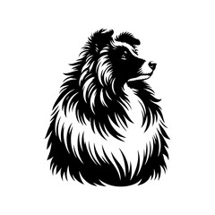 Obraz premium Shetland Sheepdog Vector Silhouette - Capturing the Elegance and Agility of this Beloved Canine Companion Breed- Shetland Sheepdog Illustration.