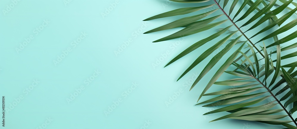 Poster Top view of a summer themed flat lay with white palm leaves on a refreshing mint background The composition evokes the essence of summer offering a copy space image