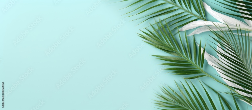 Aufkleber top view of a summer themed flat lay with white palm leaves on a refreshing mint background the comp