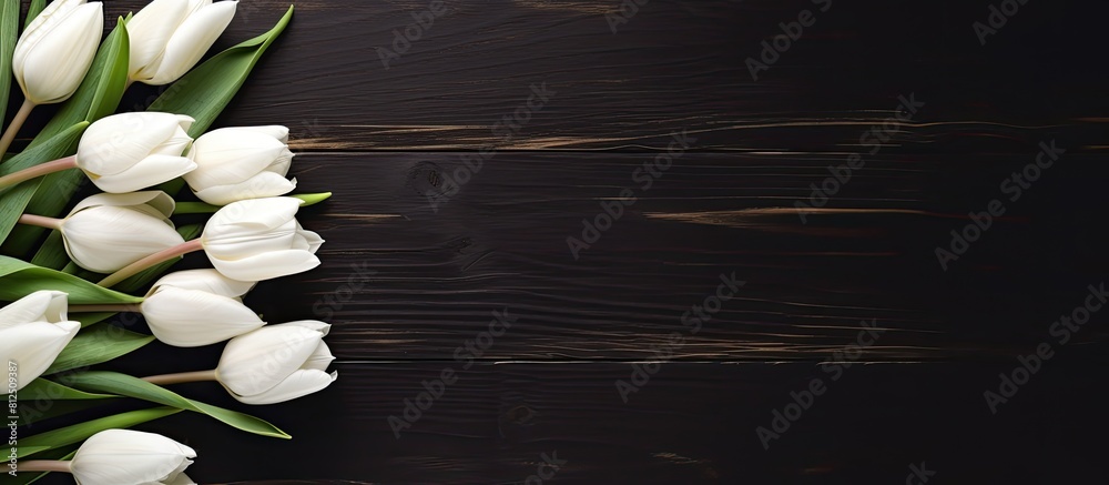 Poster Spring themed white tulips displayed on a dark wooden background creating an eye catching and visually appealing copy space image