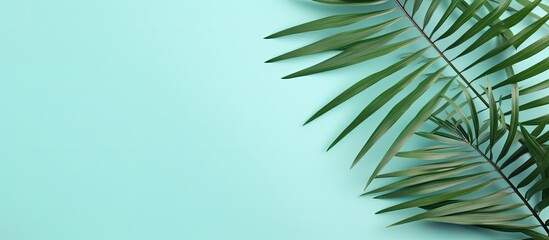 Obraz premium Top view of a summer themed flat lay with white palm leaves on a refreshing mint background The composition evokes the essence of summer offering a copy space image