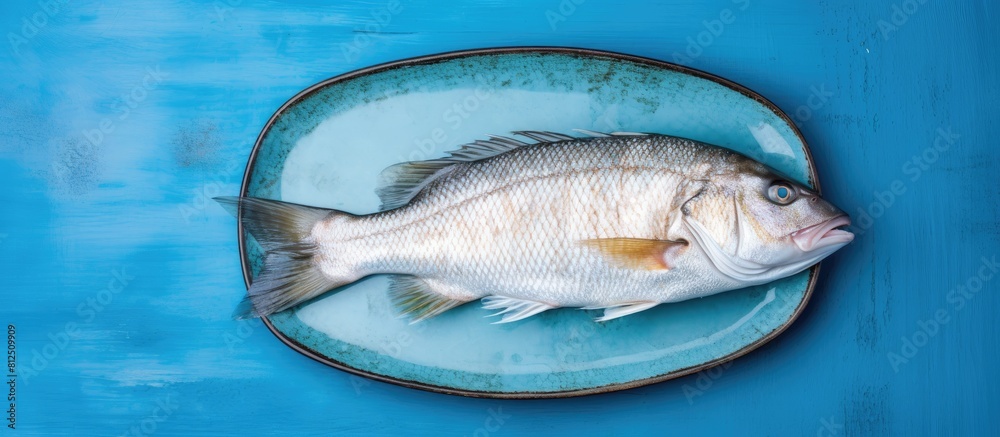 Poster a top down view of a whole uncooked and organic sea perch fish placed on a blue dish with ample room