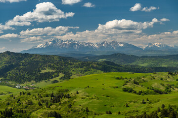 Green hills of Pieniny National Park and snowy Tatra Mountains in background in Poland