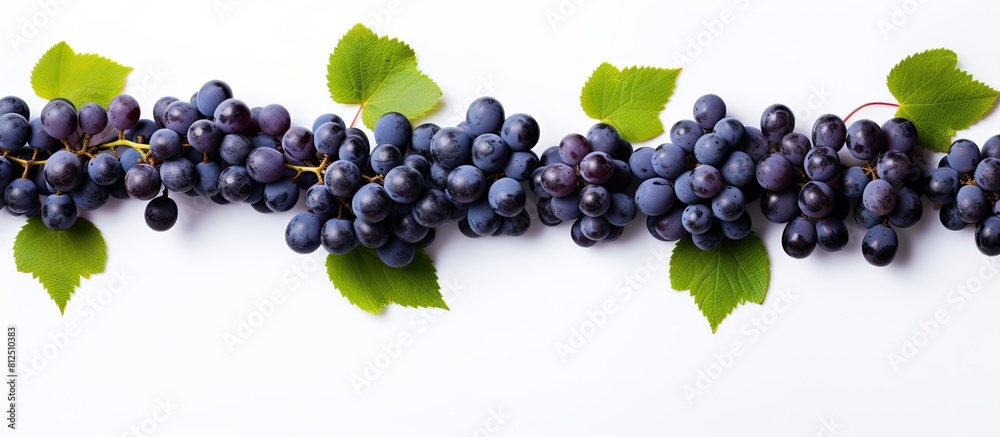 Leinwandbilder Top view of blue grapes arranged in a flat lay pattern on a white background providing ample copy space for your text