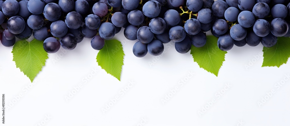Poster Top view of blue grapes arranged in a flat lay pattern on a white background providing ample copy space for your text