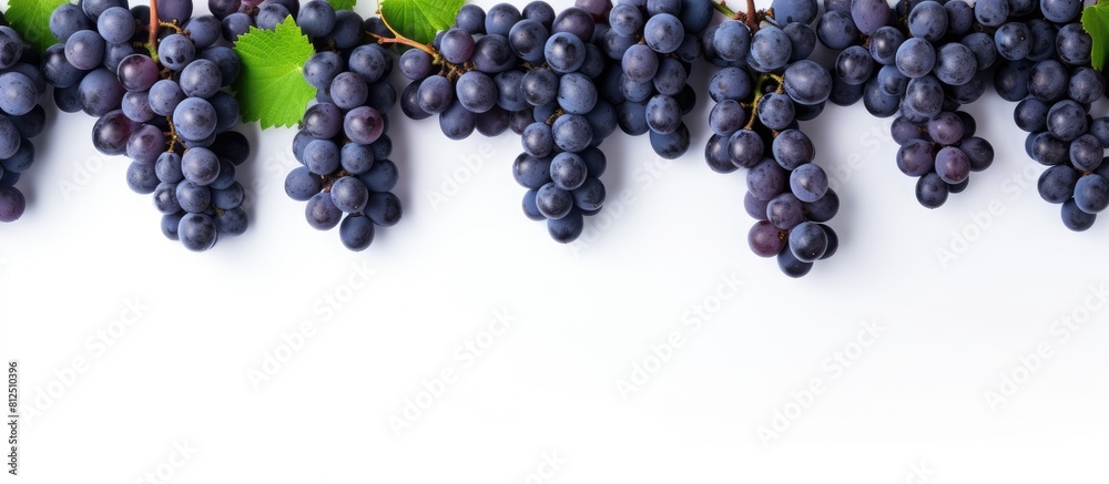 Poster Top view of blue grapes arranged in a flat lay pattern on a white background providing ample copy space for your text