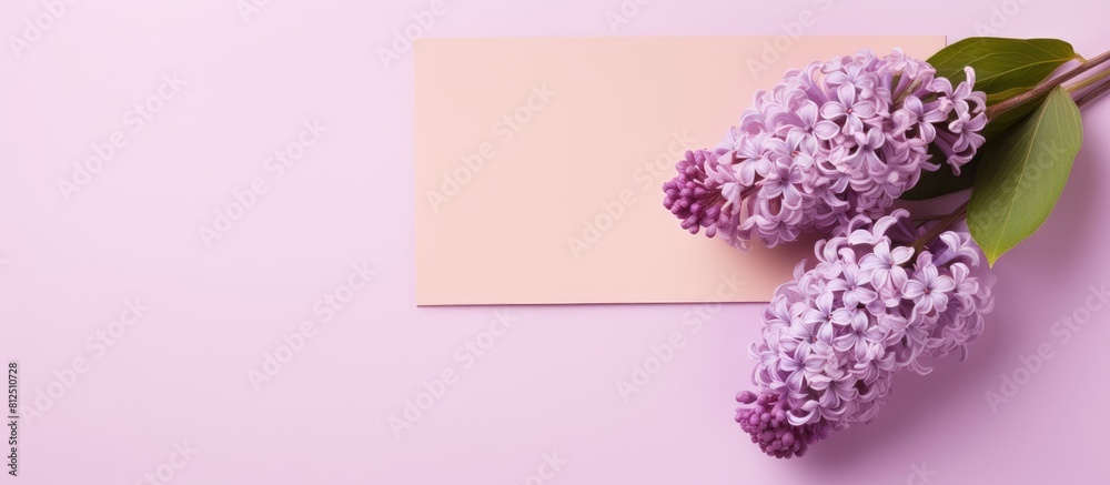 Fototapete top view of a lilac hyacinth placed on a pastel pink background alongside an empty paper tag the fla