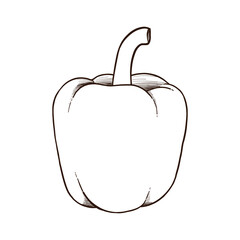 Bell pepper hand drawn