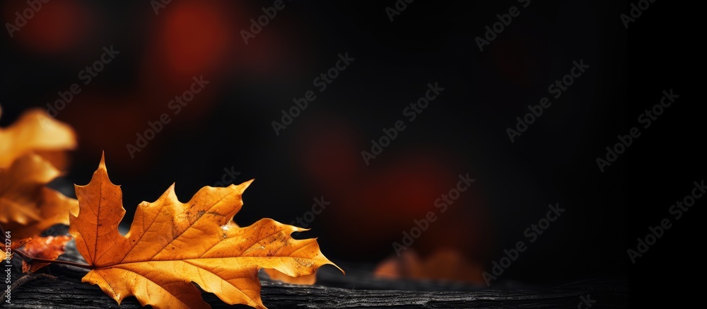 Poster A vibrant scene of autumn leaves against a dark backdrop creating a striking contrast and providing ample copy space for the image