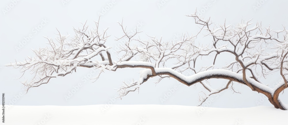 Aufkleber a wintery scene of a brown tree branch covered in snow offering the perfect backdrop for a copy spac