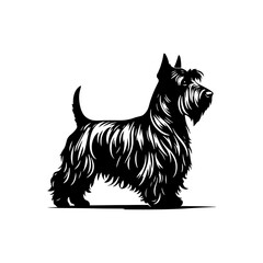 Minimalist Scottish Terrier Vector Silhouette - Capturing the Classic Charm of this Iconic Breed in Simplistic Elegance- Scottish Terrier Illustration.
