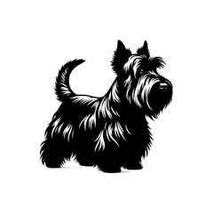 Minimalist Scottish Terrier Vector Silhouette - Capturing the Classic Charm of this Iconic Breed in Simplistic Elegance- Scottish Terrier Illustration.