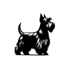 Minimalist Scottish Terrier Vector Silhouette - Capturing the Classic Charm of this Iconic Breed in Simplistic Elegance- Scottish Terrier Illustration.