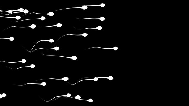 Active Sperm Cells Swim to the Egg on Black Background, Competition Concept