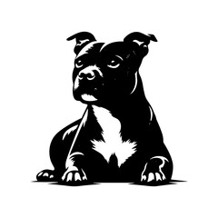 Staffordshire Bull Terrier Vector Silhouette - Capturing Strength and Courage in Simplistic Elegance- Minimalist Staffordshire Bull Terrier- Illustration of Staffordshire Bull Terrier.