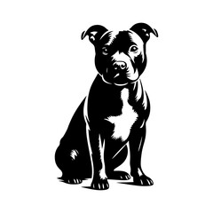 Staffordshire Bull Terrier Vector Silhouette - Capturing Strength and Courage in Simplistic Elegance- Minimalist Staffordshire Bull Terrier- Illustration of Staffordshire Bull Terrier.
