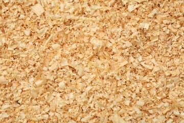 Dry natural sawdust as background, top view