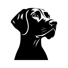 Fototapeta premium VIZSLA Dog Vector Silhouette - Elegant Strength and Energy of this Athletic Canine Companion Breed - VIZSLA Dog Illustration- Minimalist VIZSLA Dog Vector. 