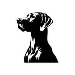 VIZSLA Dog Vector Silhouette - Elegant Strength and Energy of this Athletic Canine Companion Breed - VIZSLA Dog Illustration- Minimalist VIZSLA Dog Vector.

