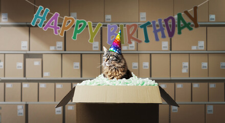 Cute cat in a birthday surprise box at the warehouse
