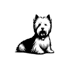  West Highland White Terrier vector Silhouette - Capturing the Endearing Beauty and Playful Spirit of this Beloved Breed-  West Highland White Terrier Illustration.