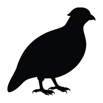 recommend clip art: silhouette of a quail on white