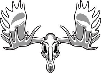 vector moose elk bull skull with antlers	