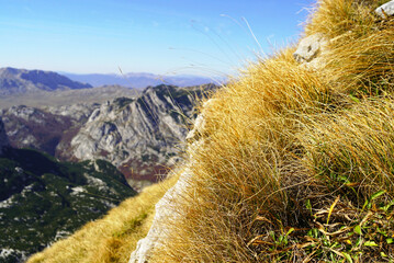 Autumn landscape from a mountain path: yellow grass close-up and the outlines of the mountains of the Durmitor National Park in the background. Hiking in the north of Montenegro.