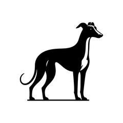 Whippet Dog Vector Silhouette - Minimalist whippet Dog Illustration.
