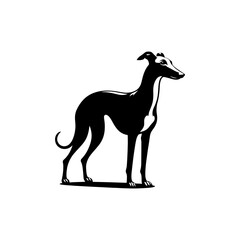 Whippet Dog Vector Silhouette - Minimalist whippet Dog Illustration.